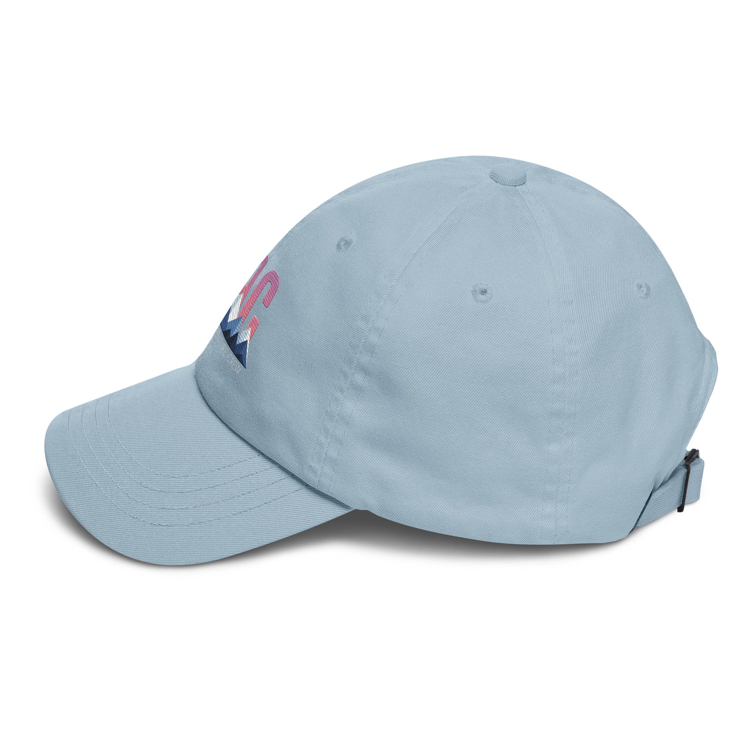 OAC Embroidered Official Logo Baseball Cap