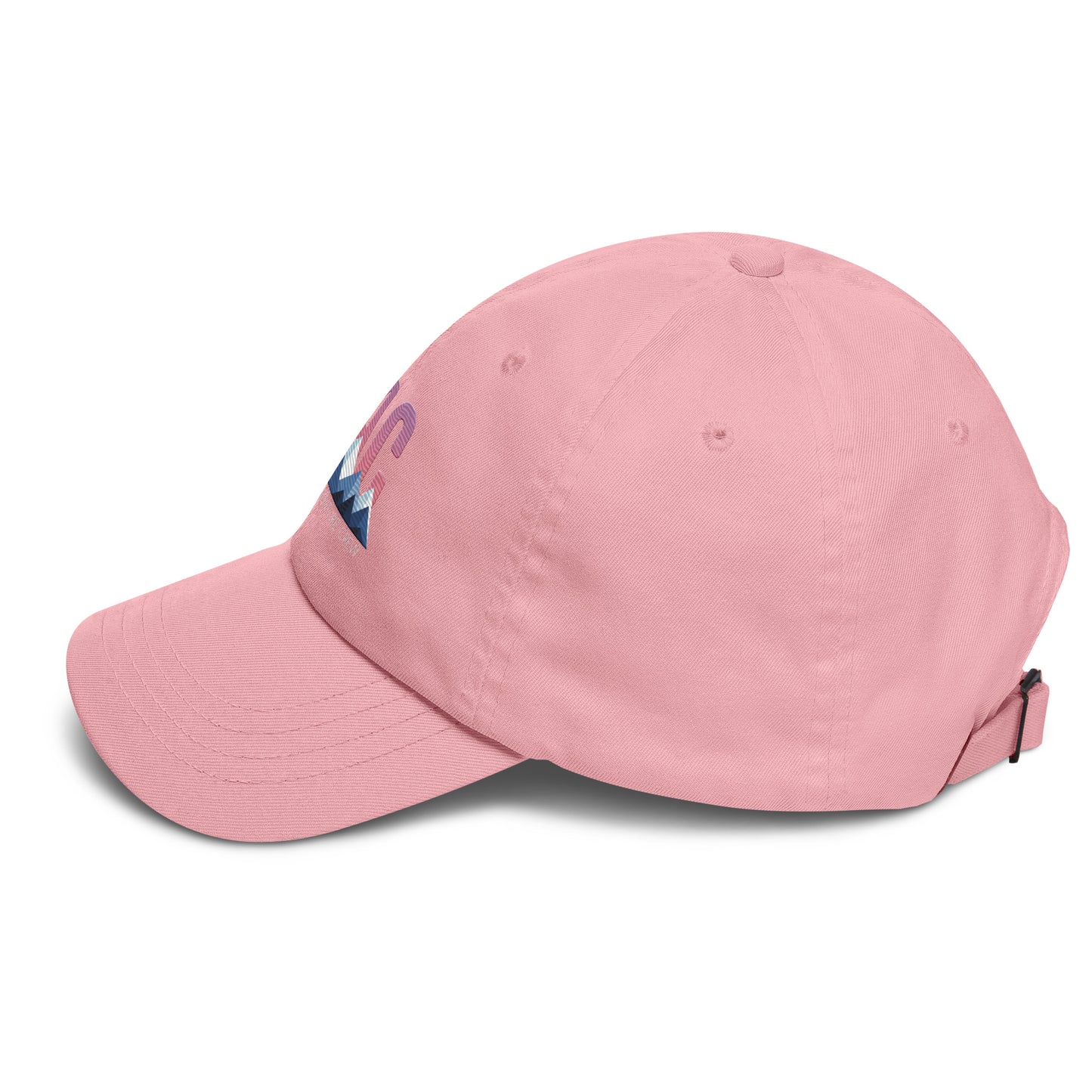 OAC Embroidered Official Logo Baseball Cap